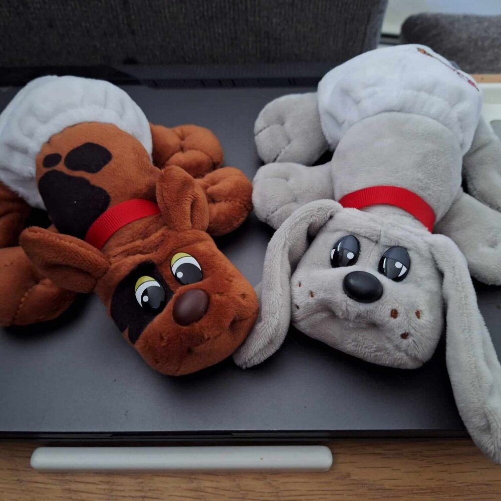 Pound Puppies